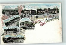 Bad Oppelsdorf Opolno Zdroj 1902 Lithographie Hotel Kurhaus Albert-Bad Carola-Bad Restaurant Carola-Bad Bergschlösschen Hotel Bad Oppelsdorf Hotel Annenhof