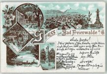 16259 O1310 Bad Freienwalde 1898 Lithographie Kur Park Gasthaus Grüne Tanne Bismarck Turm Krieger Denkmal Baa See