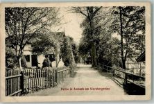 82541 W8190 Ambach , Starnberger See 1915 - Dorfweg Baumblüte