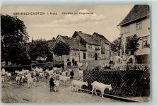 38877 O3702 Benneckenstein - Oberstadt Ziegenherde Springbrunnen