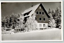 72280 W7295 Hallwangen - Winter Pension Waldliesel
