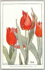 Tulpen Office de Photographie Attinger, Neuchatel Nr. 119 Blume 1900 Künstlerkarte