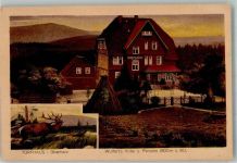 38667 W3396 Torfhaus , Harz - Wulfert`s Hotel u. Pension