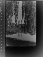 88339 W7967 Bad Waldsee GLASNEGATIV