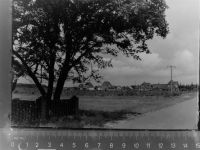 25946 W2278 Süddorf , Amrum GLASNEGATIV