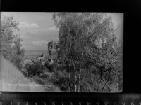 29456 W3139 Hitzacker (Elbe) GLASNEGATIV Blick vom Weinberg