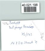 46395 W4290 Bocholt FOTO KEINE AK Fußgänger Paradies