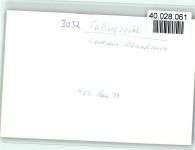 29683 W3032 Fallingbostel FOTO KEINE AK Gasthaus Mümmelmann Innenaufnahme