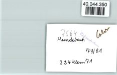 76596 W7564 Hundsbach , Baden FOTO KEINE AK Cafe am Hang
