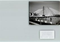 92242 W8452 Hirschau , Oberpf FOTO KEINE AK Freibad