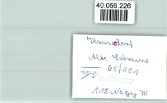23717 W2423 Kasseedorf FOTO KEINE AK