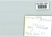 37186 W3413 Moringen FOTO KEINE AK