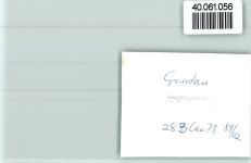 29690 W3033 Grindau FOTO KEINE AK Heimatzoo, Pferdekoppel