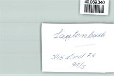 51643 W5270 Lantenbach FOTO KEINE AK Segler