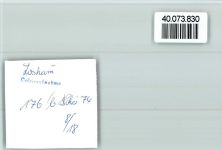 66679 W6646 Losheim , Saar FOTO KEINE AK See