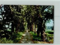 34454 W3548 Arolsen FOTO KEINE AK Frau spaziert in der Baumallee