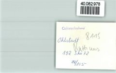 82441 W8115 Ohlstadt FOTO KEINE AK Rathaus und Maibaum