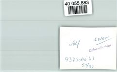 56859 W5584 Bullay FOTO KEINE AK Ortsansicht