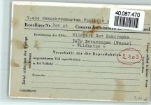 W3472 Beverungen Wildkatze Raubkatze FOTO KEINE AK