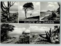 18375 O2383 Ostseebad Prerow - Küste Mehrfachaufnahme