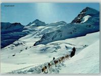 Grindelwald Schwendi b. Grindelwald Polarschlittenhunderennen Hundeschlitten