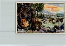 Mammut Herde Erdal-Kwak Sammelbild Serie20 AKU2 Elefant