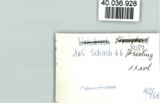 82234 W8031 Weßling , Oberbay FOTO KEINE AK See