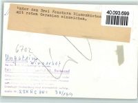 67098 W6702 Ungstein FOTO KEINE AK Winzerhof