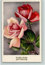 Rote und Rosa Rose Muttertag