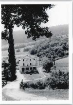 65391 W6223 Lorch , Rheingau