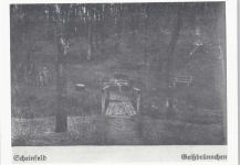 91443 W8533 Scheinfeld