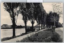 06425 O4342 Alsleben