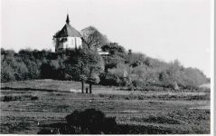 56479 W5439 Seck - Foto