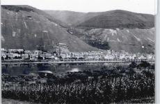 56856 W5583 Zell (Mosel) - Foto