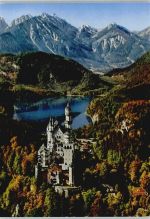 87645 W8959 Neuschwanstein