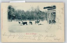38820 O3601 Emersleben - Reh Schnee Haus Zaun Wald