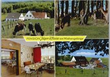 32312 W4990 Blasheim - Pension Jäger-Klause, Wisentgehege