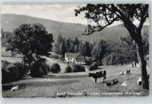 02779 O8813 Waltersdorf b Zittau - Gasthaus Sommerfrische Neu-Sorge
