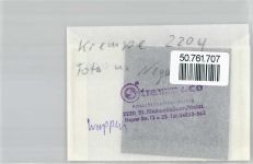 25361 W2204 Krempe , Holst FOTO KEINE AK Foto mit Negativ, Wappen