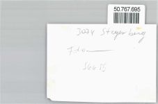 31595 W3074 Steyerberg FOTO KEINE AK Foto