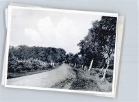 27404 W2730 Zeven FOTO KEINE AK Foto mit Negativ
