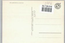 25836 W2256 Garding - Fliegeraufnahme