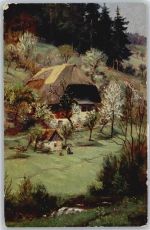 Schwarzwald , Haus Hasemann