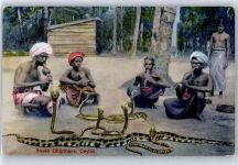 Ceylon , Schlangenbeschwörer Asiat.Volkstyp