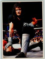 Wrestling - The Undertaker Kraftsport