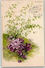 Meissner & Buch Serie 1197 Erwachen des Lenzes AK Blume 1903 Lithographie