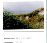 Dünen Foto montiert auf Karton Natur FOTO KEINE AK