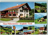 6691 Jungholz ,Tirol - Haus Wehrmeister Schwimmbad Kühe