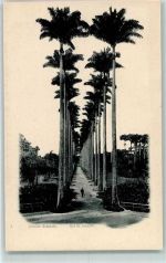 Rio de Janeiro 1899 - Jardim Botanic AK