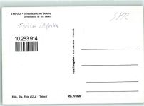 Tripolis - Kamel Orientierung in der Wüste
